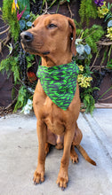 Load image into Gallery viewer, Koa's Ruff Life, Koa in a large black and green crocodile swamp bandana personalized with your pups name