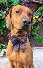 Load image into Gallery viewer, Koa's Ruff Life, Koa in a large southern crawfish sailor bow