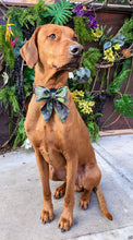 Load image into Gallery viewer, Koa's Ruff Life, Koa in a large southern camouflage sailor bow