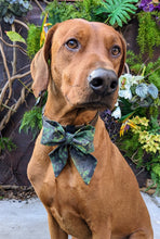 Load image into Gallery viewer, Koa's Ruff Life, Koa in a large southern camouflage sailor bow