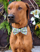 Load image into Gallery viewer, Kiss Me Bow Tie