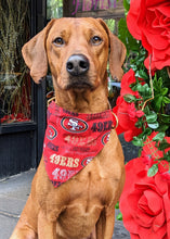 Load image into Gallery viewer, Koa's Ruff Life, Koa in a large red San Francisco 49ers bandana