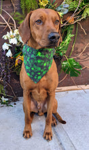 Load image into Gallery viewer, Koa's Ruff Life, Koa in a large lucky Irish bandana personalized with your pup's name