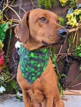 Load image into Gallery viewer, Koa's Ruff Life, Koa in a large lucky Irish bandana personalized with your pup's name