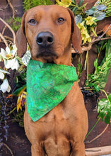 Load image into Gallery viewer, Koa's Ruff Life, Koa in a large St Patrick's Day abstract bandana personalized with your pups name