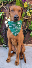 Load image into Gallery viewer, Koa's Ruff Life, Koa in a large green New York Jets bandana