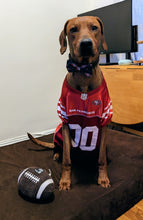 Load image into Gallery viewer, Koa in a XXX-Large red NFL San Francisco 49er Mesh Jersey