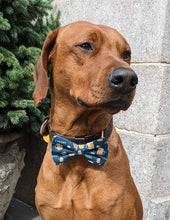 Load image into Gallery viewer, Koa's Ruff Life, Koa in a large "Cheers" bow tie for dogs