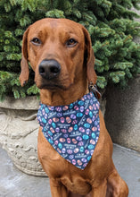 Load image into Gallery viewer, Koa's Ruff Life, Koa in a large "I'm so EGG-cited" bandana for dogs
