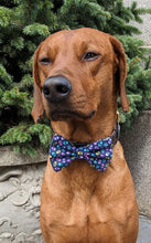 Load image into Gallery viewer, Koa's Ruff Life, Koa in a large "EGG-cited" bow tie for dogs.