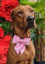 Load image into Gallery viewer, Koa's Ruff Life, Koa in a large pretty in pink (abstract) sailor bow for dogs