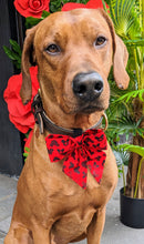 Load image into Gallery viewer, Koa's Ruff Life, Koa in a large red and black Disney Mickey and Minnie sailor bow
