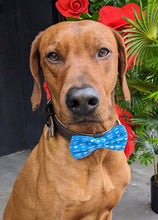 Load image into Gallery viewer, Heart Mama's Boy Bow Tie