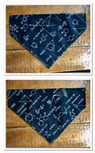 Load image into Gallery viewer, Koa's Ruff Life, the chemistry formula large bandana. Express your nerdy side.
