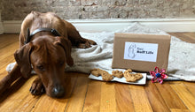 Load image into Gallery viewer, Koa's Ruff Life, Koa with the dog cookies whcih is part of the gift box. Flower for dog collar.