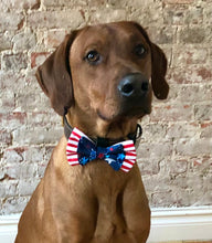 Load image into Gallery viewer, Koa&#39;s Ruff Life, Koa in the &quot;proud to ba an American&quot; themed bow tie for dogs, large . Your pup will be strutting in the American flag designed bow tie. Great for the summer, memorial day, july 4th bbq picnic, veteran&#39;s day.
