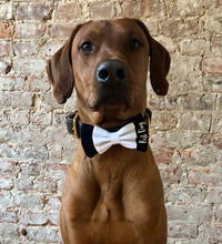 Load image into Gallery viewer, Koa's Ruff Life, Koa in the wedding "best dog" bow tie. This bow tie has the classic tuxedo look. Also may be personalized with "dog of honor" or your pup's name.