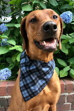 Load image into Gallery viewer, Koa's Ruff Life, Koa in the large blue/black plaid bandana personalized with your pup's name.