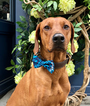 Load image into Gallery viewer, Koa's Ruff Life, Koa in the blue Hawaiian large bow tie. Bring the aloha spirit of Hawaii hime.