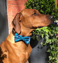Load image into Gallery viewer, Koa's Ruff Life, Koa in the blue Hawaiian large bow tie. Bring the aloha spirit of Hawaii hime.