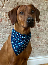 Load image into Gallery viewer, Koa's Ruff Life, Koa in the blue dog paw and bone bandana for dogs, large.