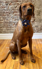 Load image into Gallery viewer, Koa's Ruff Lfe, Koa in the blue pliad large flower for dog collar. Cover button may be made in white paw, bees, blue or pink. Great accessory for spring.