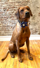 Load image into Gallery viewer, Koa's Ruff Lfe, Koa in the blue pliad large flower for dog collar. Cover button may be made in white paw, bees, blue or pink. Great accessory for spring.