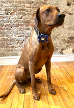 Load image into Gallery viewer, Koa's Ruff Lfe, Koa in the blue pliad large flower for dog collar. Cover button may be made in white paw, bees, blue or pink. Great accessory for spring.