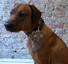 Load image into Gallery viewer, Koa's Ruff Life, Koa in the burberry inspired tartan plaid flower for dogs..