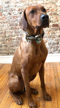 Load image into Gallery viewer, Koa's Ruff Life, Koa in the camouflage military large bow tie. Personalized in green with your pup's name. Perfect for Memorial Day, July 4th, Veteran's day, or a summer BBQ cook out or picnic!