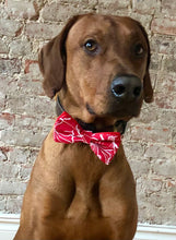 Load image into Gallery viewer, Koa's Ruff Life, the red Hawaiian flower bow tie. Bring the Aloha spirit to your town!