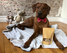 Load image into Gallery viewer, Koa's Ruff Life, Koa with dog cookie bag, organic human ingredients, gluten free, no preservatives. Flavors: peanut butter, cheese, and pumpkin.