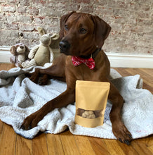 Load image into Gallery viewer, Koa's Ruff Life, Koa with dog cookie bag, organic human ingredients, gluten free, no preservatives. Flavors: peanut butter, cheese, and pumpkin.