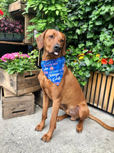 Load image into Gallery viewer, Koa's Ruff Life, Koa in the MLB Chicago Cubs reversable large dog bandana.