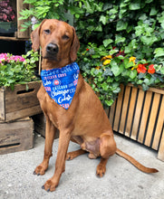 Load image into Gallery viewer, Koa's Ruff Life, Koa in the MLB Chicago Cubs reversable large dog bandana.