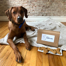 Load image into Gallery viewer, Koa's Ruff Life, Koa with the dog cookies whcih is part of the gift box. Koa is featured in the royal blue large bow tie that is personalized on the left side.