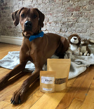 Load image into Gallery viewer, Koa's Ruff Life, Koa with dog treat bag, organic human ingredients, gluten free, no preservatives. Flavors: peanut butter, cheese, and pumpkin.