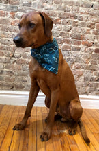 Load image into Gallery viewer, Koa's Ruff Life, Koa in the double helix large bandana. The secince collection is for the nerds!