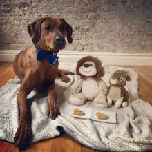 Load image into Gallery viewer, Koa's Ruff Life, Koa with dog heart cookie, organic human ingredients, gluten free, no preservatives. Flavors: peanut butter, cheese, and pumpkin.