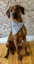 Load image into Gallery viewer, Koa's Ruff Life, Koa is in the white leopard large bandana.