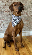 Load image into Gallery viewer, Koa's Ruff Life, Koa is in the white leopard large bandana.