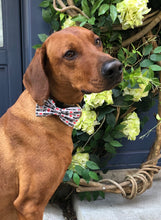 Load image into Gallery viewer, Koa's Ruff Life, Koa in the large mama's boy bow tie. Show off your fur baby's love for his mom!