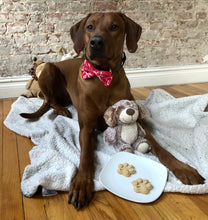 Load image into Gallery viewer, Koa&#39;s Ruff Life, Koa with dog paw with heart cookie, organic human ingredients, gluten free, no preservatives. Flavors: peanut butter, cheese, and pumpkin.
