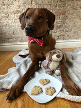 Load image into Gallery viewer, Koa&#39;s Ruff Life, Koa with dog cookies, organic human ingredients, gluten free, no preservatives. Flavors: peanut butter, cheese, and pumpkin.
