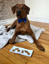Load image into Gallery viewer, Koa's Ruff Life, Koa in the personalized navy cosmo blue large bow tie. Personalized with your pup's name! Mini dog treats in peanut butter, banana, cheese or pumpkin flavors.