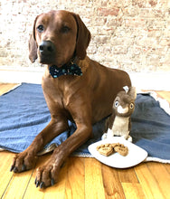 Load image into Gallery viewer, Koa&#39;s Ruff Life, Koa with personalized dog heart paw cookie, organic human ingredients, gluten free, no preservatives. Flavors: peanut butter, cheese, and pumpkin.
