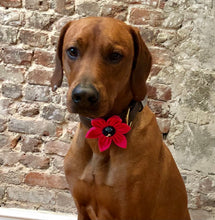 Load image into Gallery viewer, Koa's Ruff Life, Koa in the large pink flower for dog collar with various center (blue paw, bees, red heart, and pink).)
