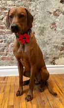 Load image into Gallery viewer, Koa's Ruff Life, Koa in the large pink flower for dog collar with various center (blue paw, bees, red heart, and pink).)