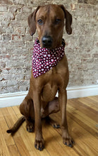 Load image into Gallery viewer, Paw Print Red Plaid Bandana