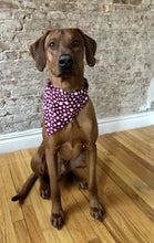 Load image into Gallery viewer, Paw Print Red Plaid Bandana